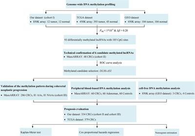 Genome-Wide Methylation Profiling of lncRNAs Reveals a Novel Progression-Related and Prognostic Marker for Colorectal Cancer